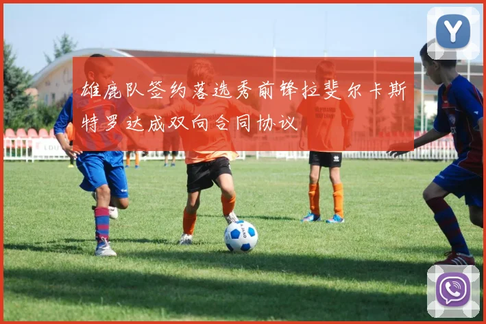 雄鹿队签约落选秀前锋拉斐尔卡斯特罗达成双向合同协议
